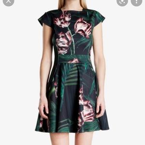 Ted Baker Skater Dress